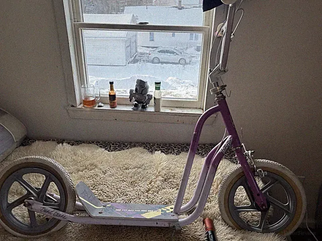 Freestyle Curb Cruiser Scooter 1980s Vintage