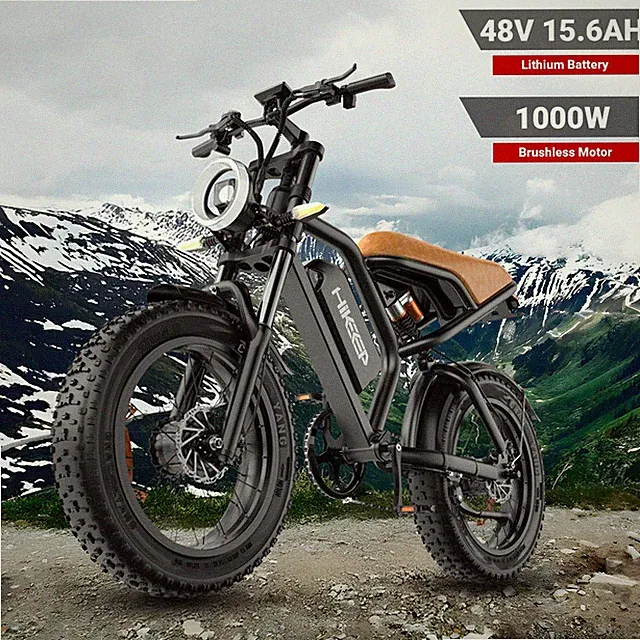 Hikeep 1500W Dual Motor Electric Bike 20 in Fat Tire 48V 15Ah Bicycle ebikes