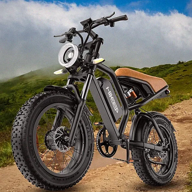 Hikeep 3000W Electric Bike 20'' Fat Tire Mountain Bike 48V 15AH Adults Bicycle