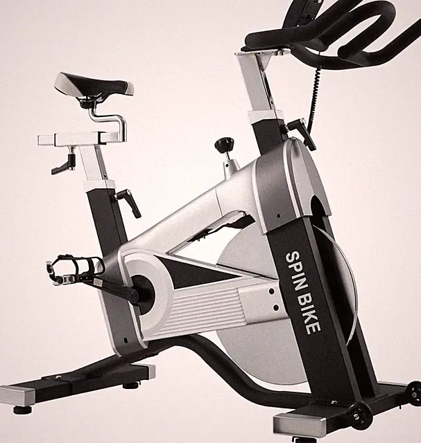 Indoor Cycling Bike Magnetic Stationary Bike Cycle Fitness Bike Exercise Bike