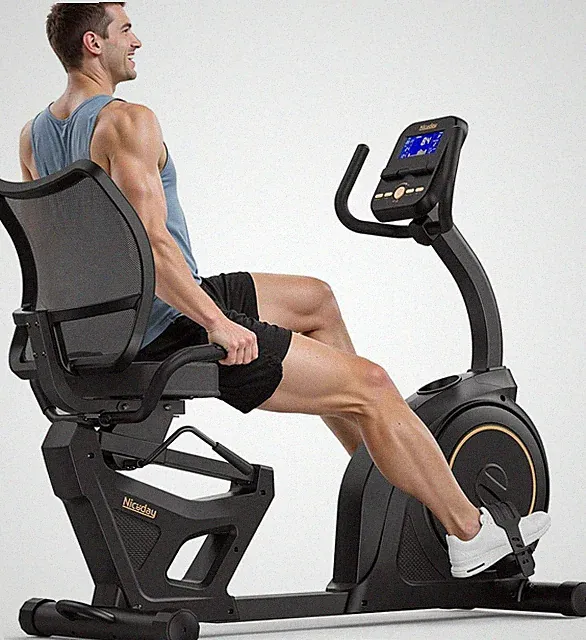 Recumbent Exercise Bike, Recumbent Bike for Home, Recumbent Stationary Bike 400L