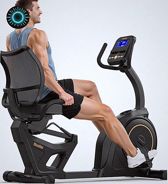 Recumbent Exercise Bike Recumbent Bike for Home Recumbent Stationary Bike 400LBS