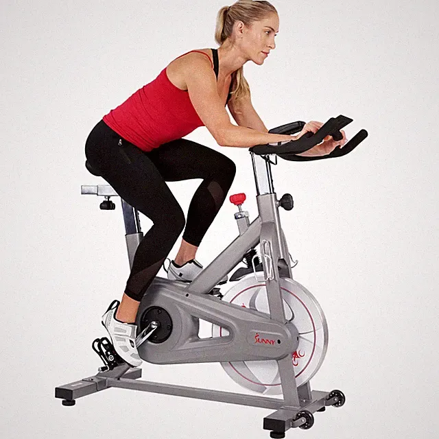Synergy Exercise Bike with 40LB Flywheel, Silent Belt Drive, Magnetic Resistance